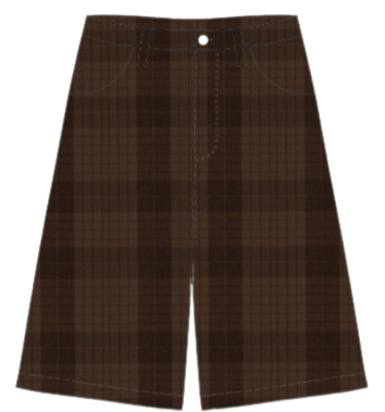 SEXPRESSIONISMS PLAID SHORTS - BROWN